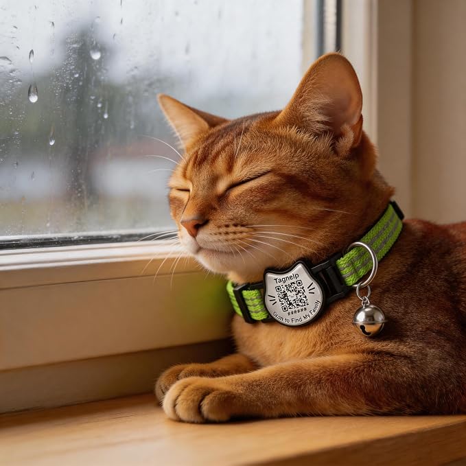 Breakaway Cat Collar with QR Code Tag and Bell (Red & Green) | Reflective Nylon, Quick-Release Buckle