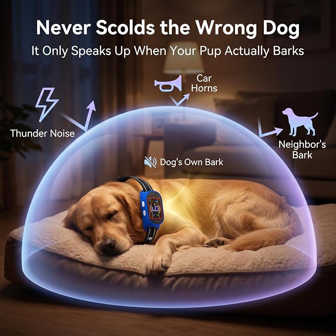 Voice Memo Anti Bark Collar, Smart Dog Bark Collar, Navy Blue | Custom Voice Recording, 4 Humane Training Modes, 6 Adjustable Sensitivity Levels, Rechargeable, for Small Medium Large Dogs