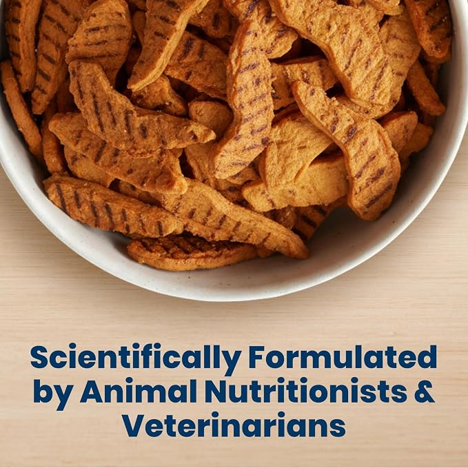 Blue Buffalo Nudges Grillers Chicken Dog Treats, 16 oz | Real Chicken First, Oven-Dried, Easy to Tear, For All Breed Sizes, No Artificial Preservatives
