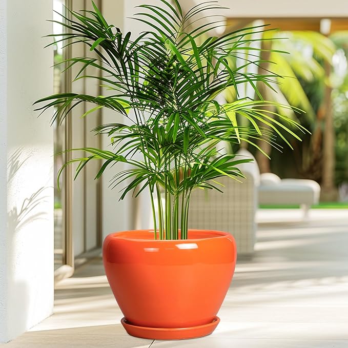 Ceramicfor Indoor Plant Pot 8 Inch - Ceramic Plant Pot with Drainage Hole and Saucer, Glaze Decorative Modern Round Planter for Outdoor Plants, Housewarming Gifts, Office Home Garden Decor, Orange