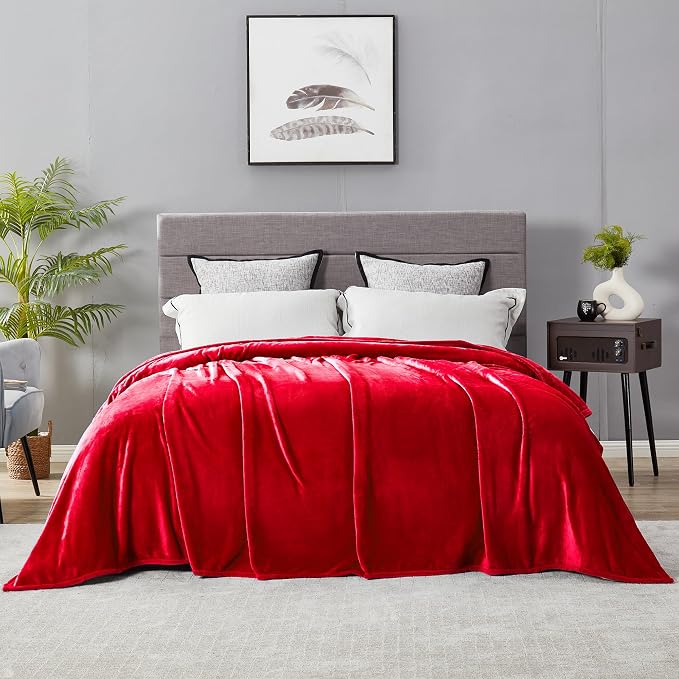 DREAMNINE Ultra Large Soft Fuzzy Flannel Fleece Blanket King Size 90" x 108", Decorative Solid Lightweight Fluffy Velvet Bed Blanket,Luxury Big Cute Cozy Shag Plush Microfiber Blankets for Bedroom,Red