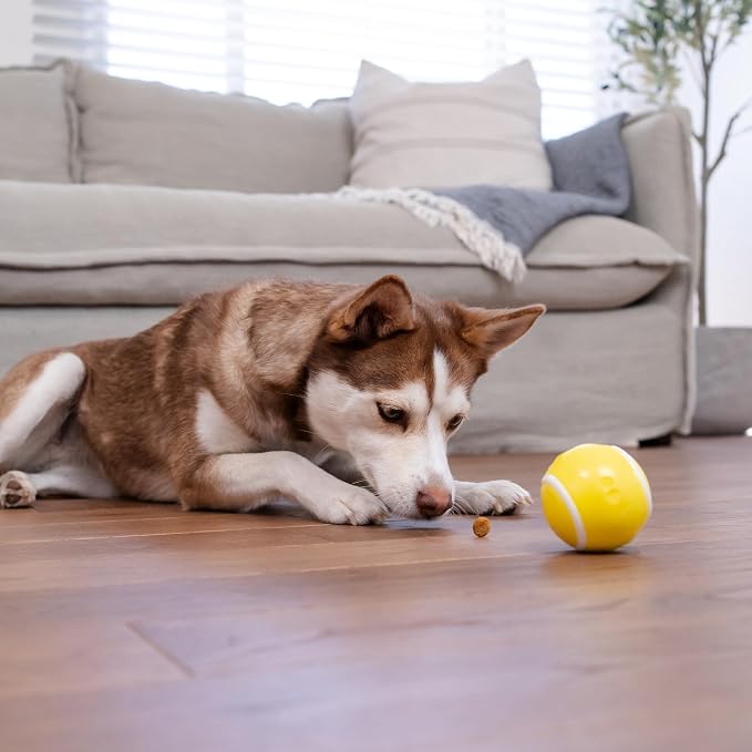 Outward Hound by Planet Dog Sport Ballz Tennis Ball Treat-Dispensing Fetch Ball Dog Toy