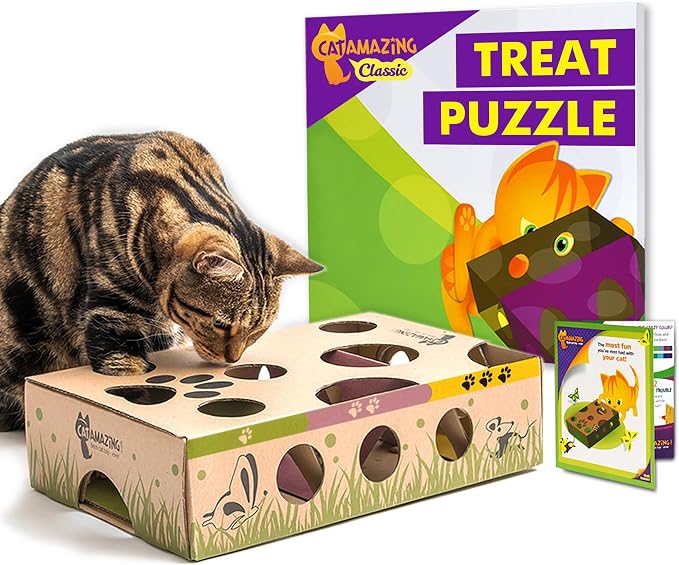 Cat Amazing Interactive Treat Maze and Puzzle CAT Toy