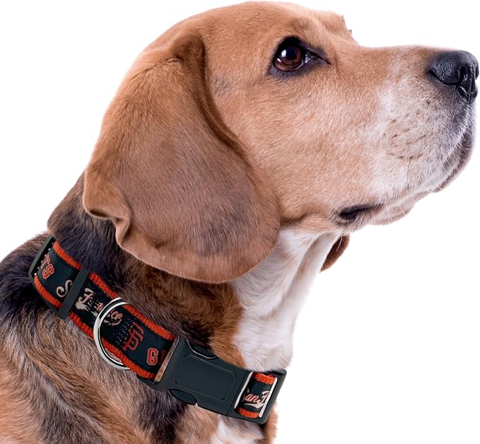 MLB San Francisco Giants Licensed PET COLLAR- Heavy-Duty, Strong, and Durable Dog Collar. Available in 29 Baseball Teams and 4 Sizes