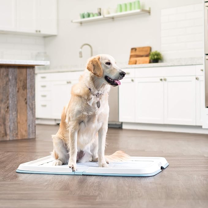 IRIS USA Pee Pad Holder, Fits 28x34 Pads, Blue, Made in USA | Dog Training Pad Holder, Holds Pads in Place, Leakproof Design, Secure Latches, Non-Skid Feet, Easy Clean Surface