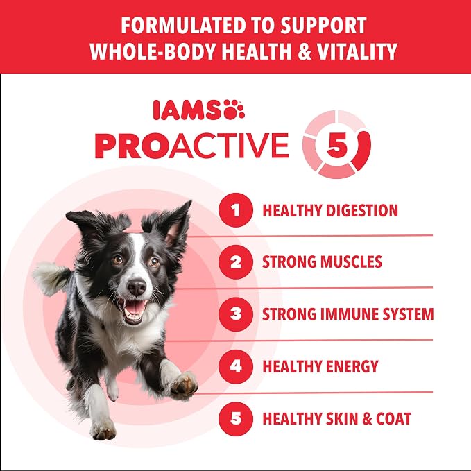 IAMS Proactive Health Minichunks Dry Dog Food, Lamb & Rice, 38.5 lb | Real Lamb #1 Ingredient, Omega-6 Fatty Acids for Skin & Coat, Natural Fiber & Prebiotics, No Fillers or Artificial Flavors