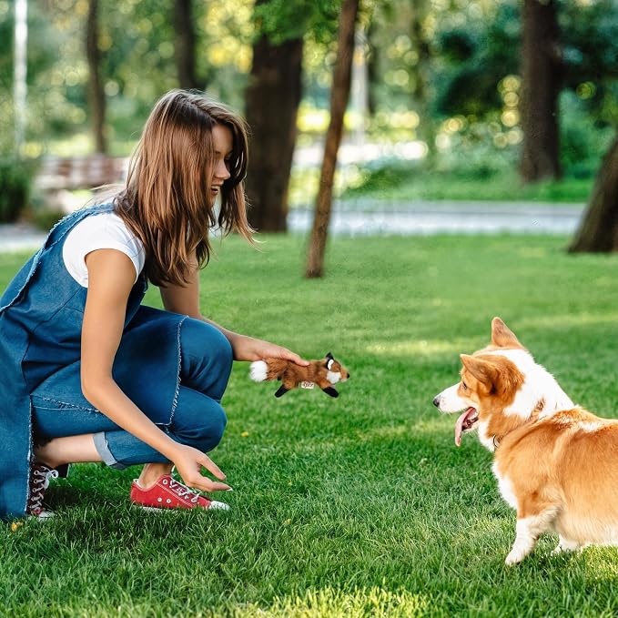 ALL FOR PAWS Squeaky Doy Toy, Fox Dog Toy for Small Medium Breed, Puppy Fetch Toy with Squeaker, Plush Chew Dog Toy, Classic S