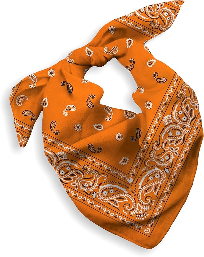 Gift Packaging Bandana for Men Women - 100% Cotton, Paisley, 22x22 In, 1 Pack - Large Bandanna Handkerchief Cowboy Hanky
