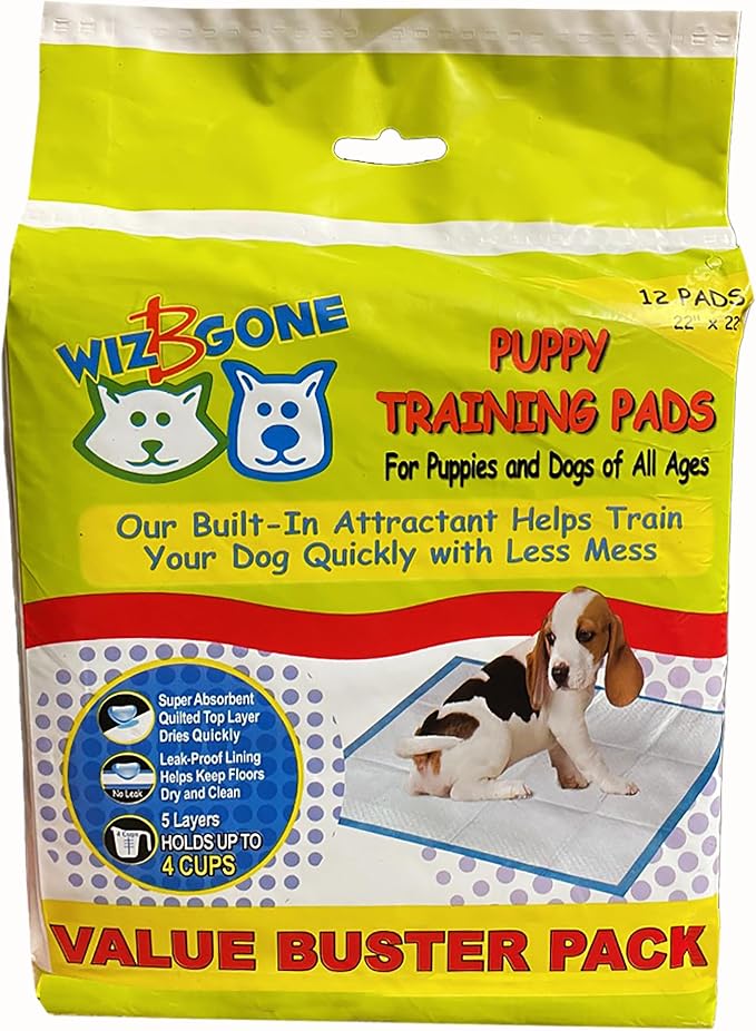 Scoochie Pets Large Dog Training Pads, 22 x 22, 12 Pack | Absorbent Sheets for Adult & Young Pets, Leak-Proof Pee Pads, Convenient Box, Ideal for Home & Travel