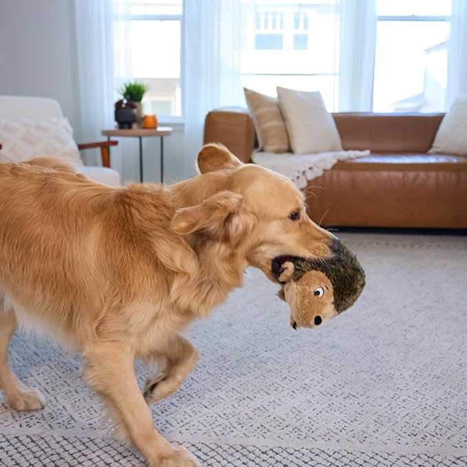 Outward Hound Hedgehogz Plush Dog Toy, Squeaks & Grunts, Large, 12" x 7" | Soft Realistic Faux Fur, Round for Rolling & Chasing, Cuddle & Carry, Interactive Fetch, Light Chewers, Dogs & Puppies