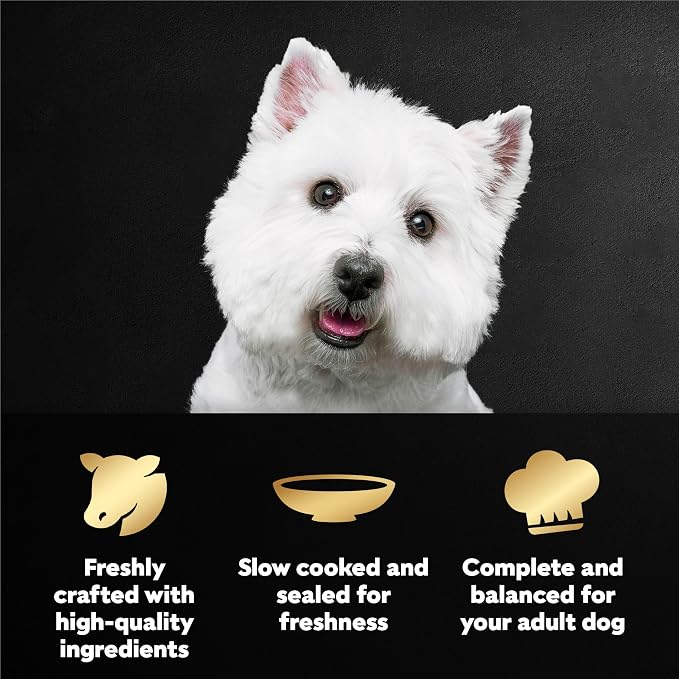 Cesar Mini-Pouch Wet Dog Food, Filet Mignon Flavor, 1.76 oz, 20 Count | Real beef, protein-packed, no fillers or artificial flavors, easy peel-and-serve, slow-cooked tender texture