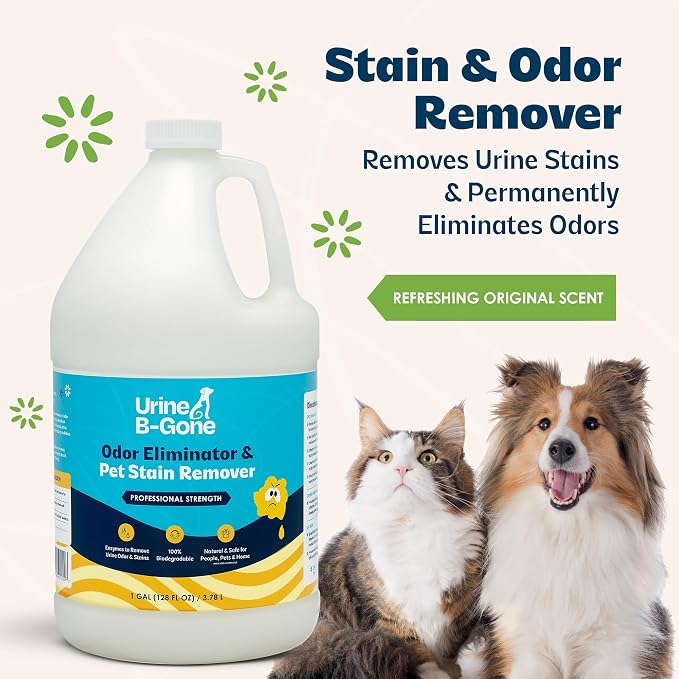 Urine B-Gone Enzyme Cleaner for Human, Cat & Dog Urine, Original, 1 Gallon | Enzyme cleaner for human, cat and dog urine on laundry, carpets and more; original scent, 1-gallon size.