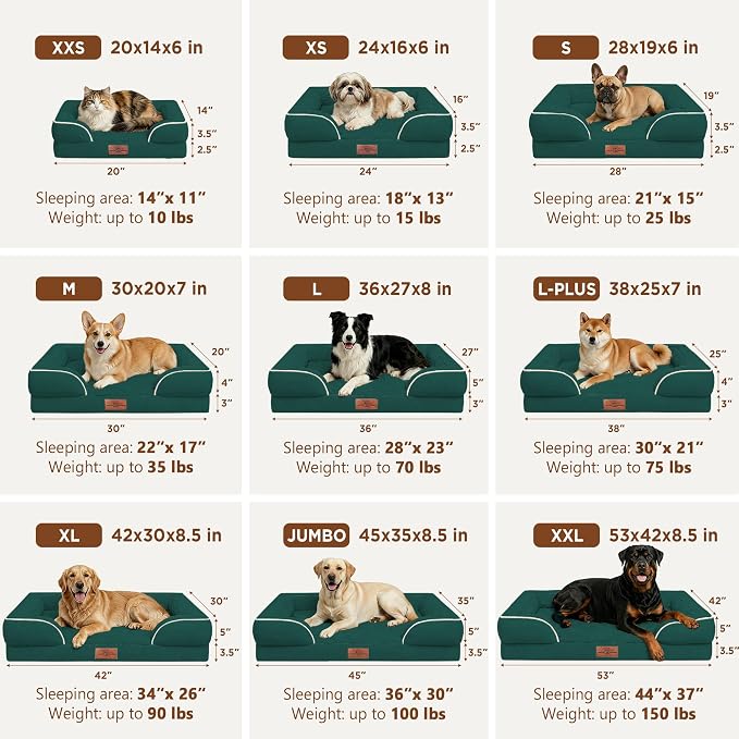 Comfort Expression Waterproof Orthopedic Dog Beds for Extra Large Dog | Supportive Egg Crate Foam XL Dog Bed with Removable Bolster, Dog Couch with Washable Cover & Non-Slip Bottom, 45x35 Inch