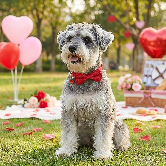 ADOGGYGO Valentine Dog Collars with Bow, Detachable Heart Sunburst Print Bowtie, Metal Buckle, Adjustable Valentine Collars for Extra Small Dogs Boy Girl (X-Small)