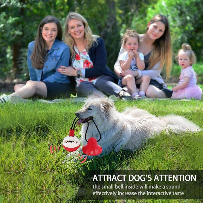 Askhald Dog Toys, Dog Chew Toys for Aggressive chewers,Rope with Suction Cup for Puppy Training Treats Teething for Boredom, Small Dog Puzzle Toy Treat Food Dispensing Ball (red)