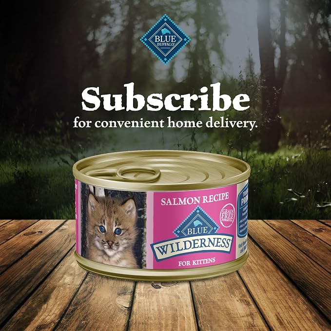 Blue Buffalo Wilderness Salmon Kitten Paté Wet Cat Food, 3 oz, 24 ct | High Protein, Real Salmon #1 Ingredient, Grain-Free Recipe, DHA for Cognitive Development, Helps Support Daily Hydration