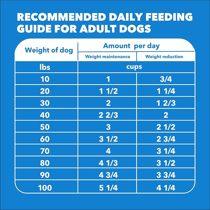 IAMS Proactive Health Healthy Weight Dry Dog Food, Chicken, 5 lb | Real chicken #1 ingredient, L-Carnitine for metabolism, strong muscles, no fillers or artificial flavors, vet-recommended