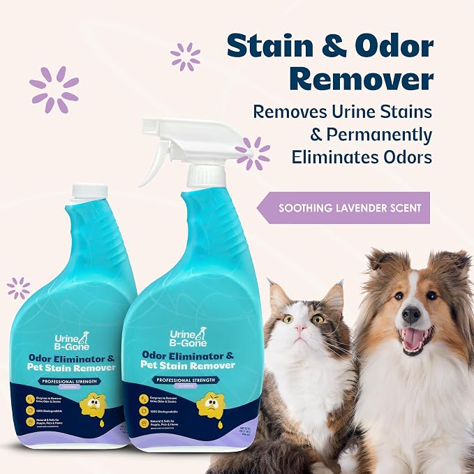 Urine B-Gone Enzyme Cleaner for Human & Pet Urine, Lavender, 32 oz, 2-Pack | Two 32 oz bottles of enzyme cleaner for human, cat and dog urine on laundry, carpets and more; lavender scent.