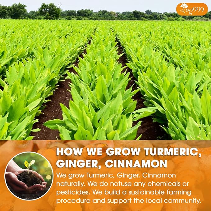 TOG999, Premium 20oz Ginger Turmeric Cinnamon Loose Leaf Herbal Tea - Premium Quality Spiced Herbal Blend – Caffeine-Free, Non-GMO, Natural Dried Roots and Bark. Vegan-Friendly.