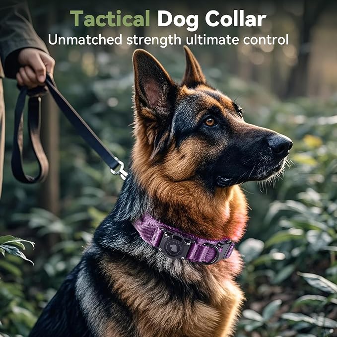 2026 Upgrade Waterproof Tactical AirTag Dog Collar, Built in AirTag Holder | Comfortable Control Handle, Quick Release Metal Buckle, Durable 1000D Nylon, For Medium to Large Dogs, Purple, XL