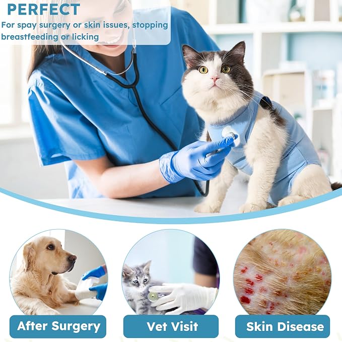 Hpetppy Recovery Suit for Cats After Surgery Soft Breathable Pet Bodysuit E-Collar & Cone Alternative Surgical Suit Kitten Wear Anti Licking Wounds Cat Onesie Cats Neuter Shirt Blue S