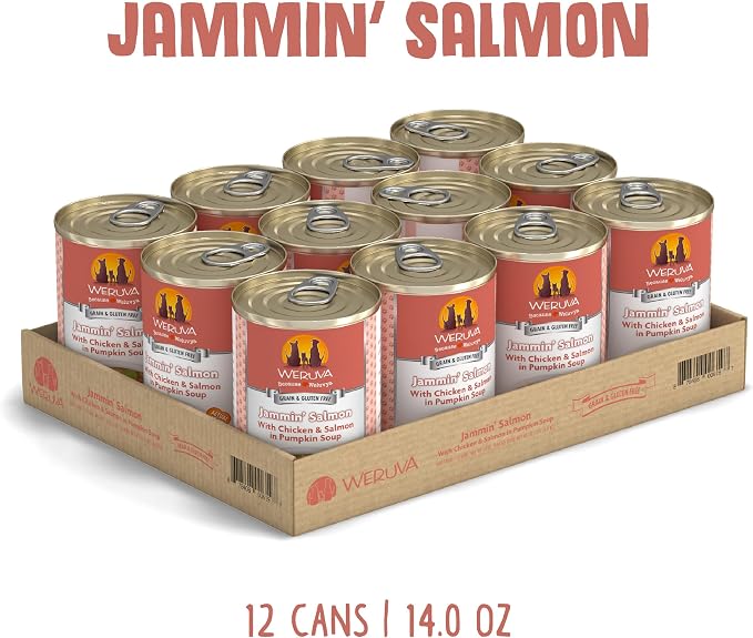 Weruva Classic Dog Food, Jammin' Salmon with Chicken & Salmon in Gravy, 14oz Can (Pack of 12)