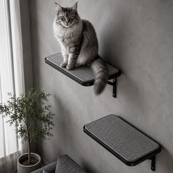 Cat Wall Shelf Window Perch, Cats Bed Hammock with Scratching Pad, Cat Shelf for Climbing Sleeping Playing,Black Furniture for Indoor Large Cats