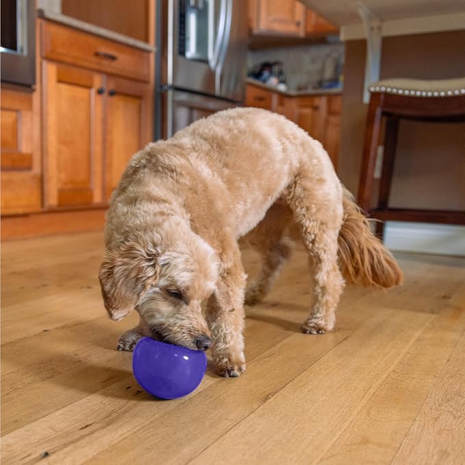 Outward Hound Lil' Snoop Interactive Treat Dispensing Dog Toy, Purple, 3.9" | Rolls & Bounces, Treat Stuffer, Puzzle Ball & Slow Feeder, Mint Scented, Easy Clean, No BPA, Enrichment, Small to Medium Dogs