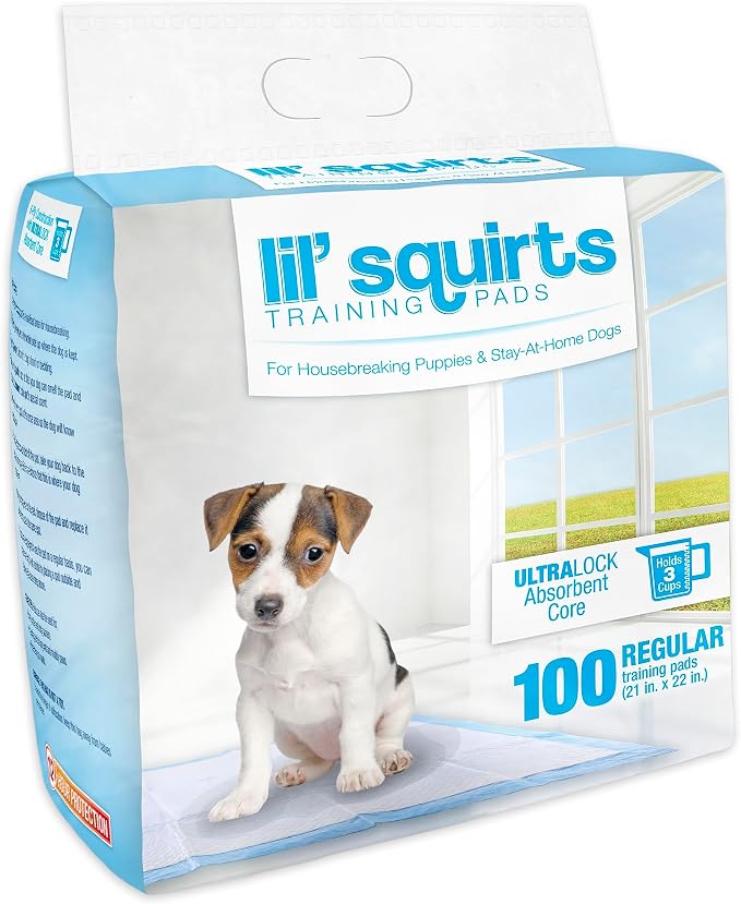 Lil' Squirts Puppy Training Pads 100 Pack for Potty Training & Housebreaking, UltraLock Absorbent Core, Leak-Proof, Odor Control | 21 in x 22 in, 12-Hour Protection, Ultralock Absorbent Core, Leak-Proof, No Bleach Or Dyes, Odor Control Dog Training Pads