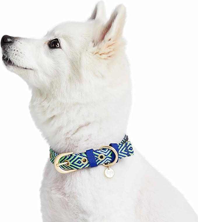 Blueberry Pet Southwestern Tribal Lozenges Stylish Green Adjustable Dog Collar with Metal Buckle, Neck 19.5-26", for Large Breed