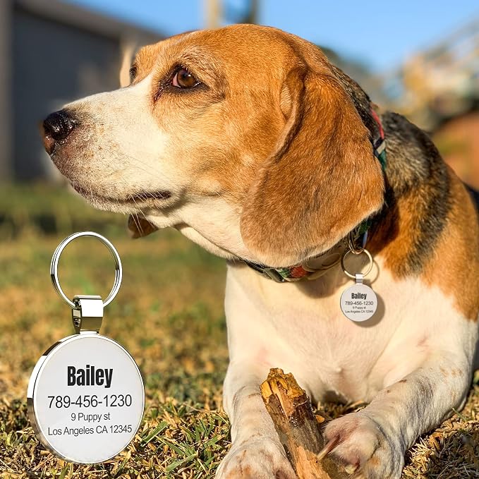 MYLUCKYTAG Personalized QR Code Pet ID | Dog & Cat Collar Tag | Online Profile with Instant Scanned Location Alert Email