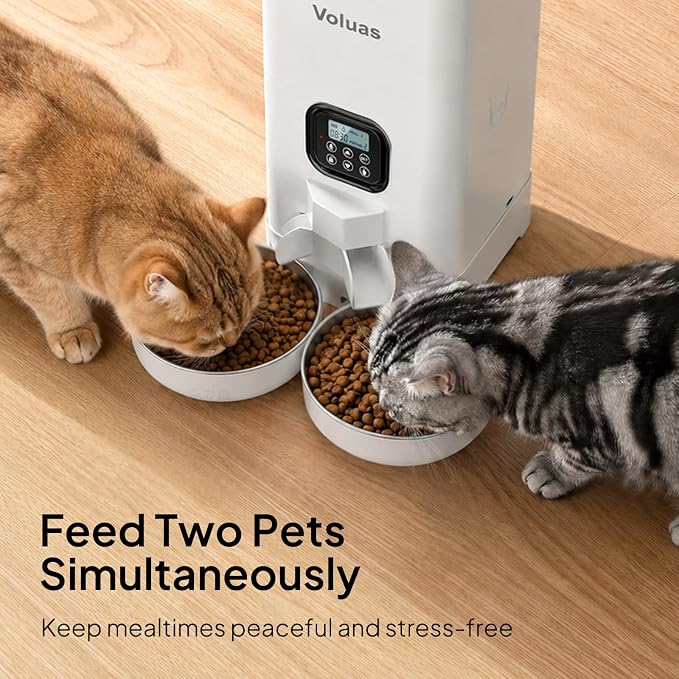 VOLUAS Automatic Cat Feeder for Two Cats with Dual Stainless Bowls, 6L | Programmable Portion Control, Timed Feeding, Memory Function, Dual Stainless Steel Bowls, 10-Second Voice Recorder