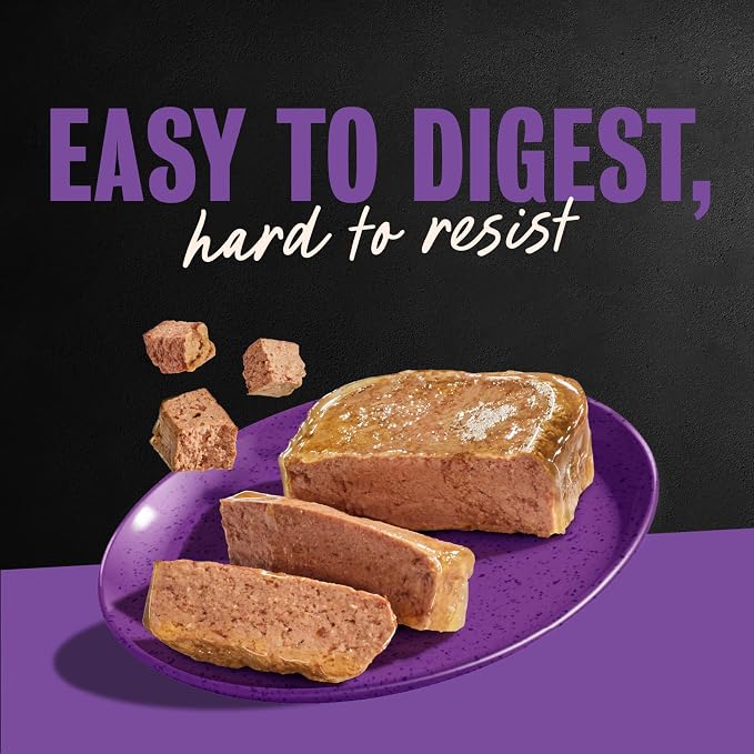 Cesar Classic Loaf in Sauce Wet Dog Food, Grilled Chicken, 3.5 oz, 24 Count | Made in USA, Real chicken #1 ingredient, slow-cooked tender texture, no fillers or artificial flavors, easy peel trays