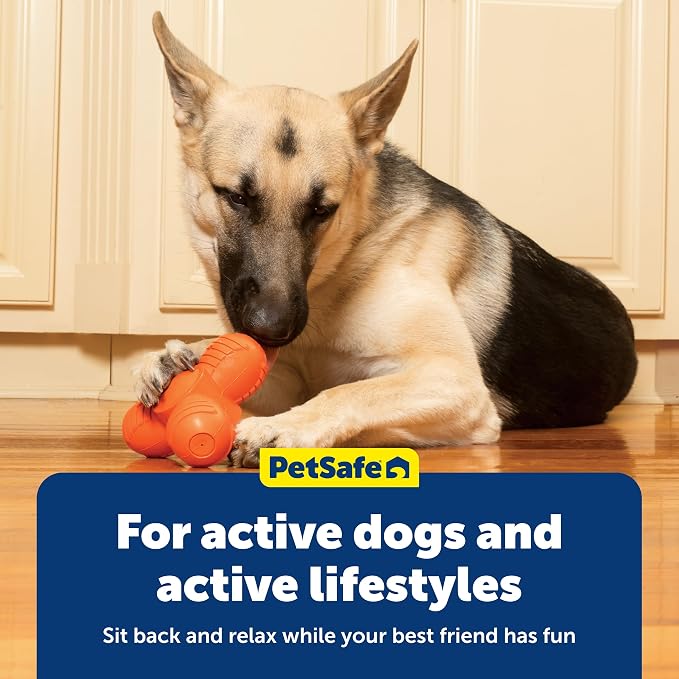 PetSafe Sportsmen Squeak 'N' Treat Troog Dog Chew Toy - Interactive Pet Puzzle for Boredom or Separation Anxiety - Use with Treats - Large