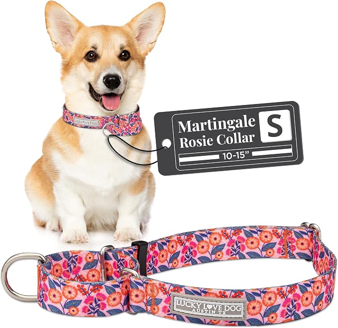 Lucky Love Dog Martingale Collar for Small Dogs No Slip Cute – Rosie, Small