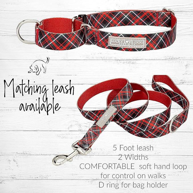 Lucky Love Dog Martingale Collar & Leash Set No Slip Cute – Heywood, Small