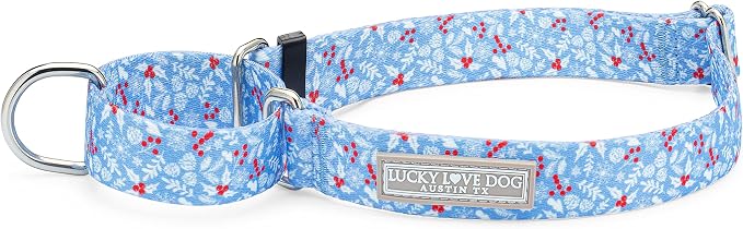 Lucky Love Dog Martingale Collar for Small Dogs Cute – Winter Blue, Small