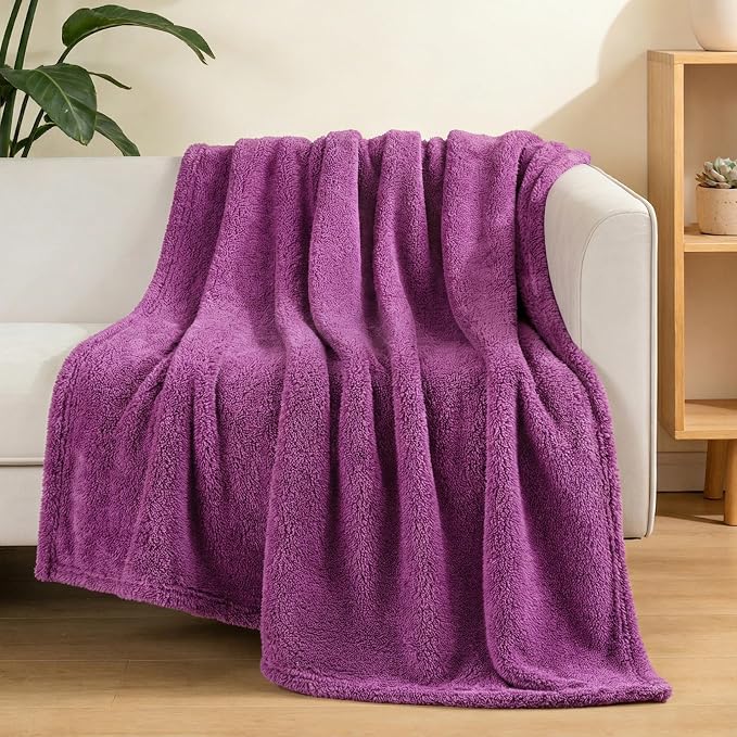 Exclusivo Mezcla Soft Plush Fleece Throws Blanket for Couch Sofa Bedroom | Lightweight Fuzzy Fluffy Blanket for All Seasons, Cozy Velvet Throws for Women Men, Machine Washable, 50"x60", Purple