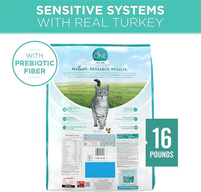 Purina ONE Sensitive Skin and Stomach Dry Cat Food 16 lb Bag