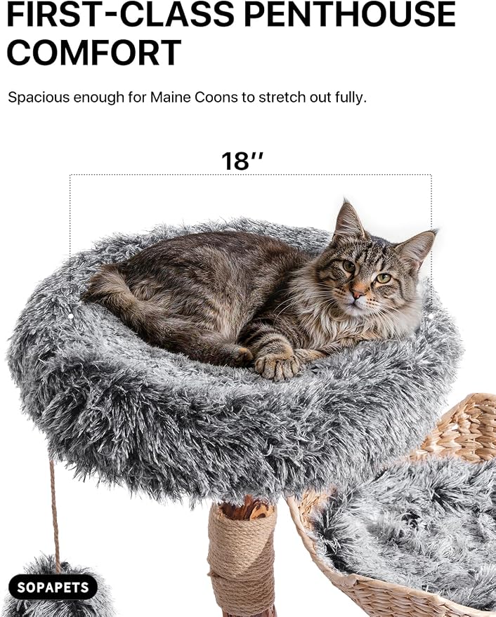 Sopapets Solid Wood Cat Tree with Hand-Woven Basket, 41.3" Natural Wood Cat Tower with Real Branch, Modern Boho Cat Furniture for Indoor Cats & Large Cats, Sisal Scratching Posts, Gray
