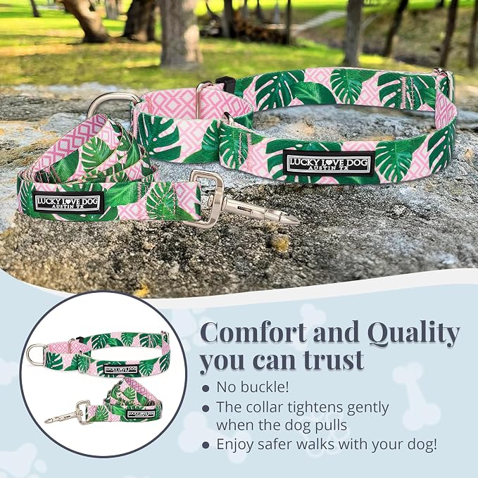 Lucky Love Dog Martingale Collar & Leash Set No Slip Cute – Laguna, Small