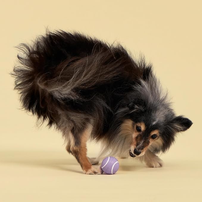 Playology Squeaky Chew Ball Dog Toy - Small, Lamb Scent, 3-Pack