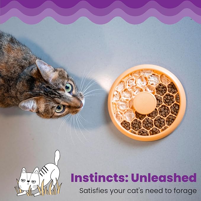 Catstages Slow Feeder Bowl & Treat Puzzle Cat Toy, Aids Digestion, 6.6" | Holds 1/2 Cup of Wet or Dry Food, 30 Treat Compartments, Non-Slip Base, Easy Clean, No BPA, Enrichment, Indoor Cats & Kittens