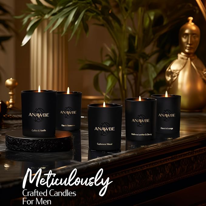 Pine & Clementine Scented Candle, Soy Candles for Men and Women, Pine Candle for Home, Elegant Black Vessel, 45-Hour Long-Burning, Gift-Ready, Aromatherapy Candle
