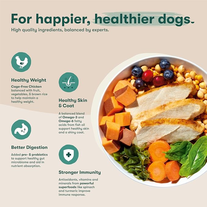 Jinx Grain Free Dry Dog Food - Real Chicken, Sweet Potato & Carrot, 11.5lb | Premium Kibble for Digestive Support & Healthy Immunity - No Fillers, All Lifestages (Puppy, Adult & Senior), Breeds & Sizes