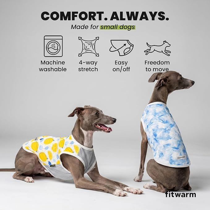Fitwarm 2 Pack Ice Lemon UPF 50+ UV Sun Protection Dog Shirt, Lightweight Dog Cooling Vest, Quick Dry Summer Clothes for Small Dogs Boy Girl, Pet Outfit, Blue, Yellow, White, XS