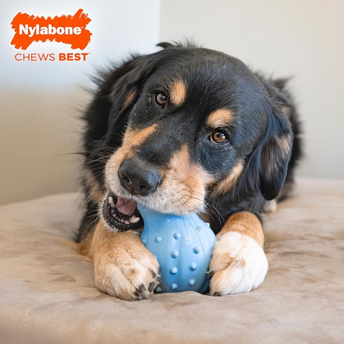 Nylabone Strong Chew Rubber Stuffable Cone Treat Toy, Bacon Flavor, X-Large | Durable rubber dog toys, long lasting, durable material, encourages healthy chewing, helps clean teeth, for dogs 50+ lbs
