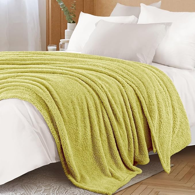 Exclusivo Mezcla Fleece Twin Size Blanket for Couch and Bed, 60" x 80" | Super Soft and Cozy Fluffy Blanket for Women, Lightweight and Fuzzy Blanket for Teens Back to School, Light Green