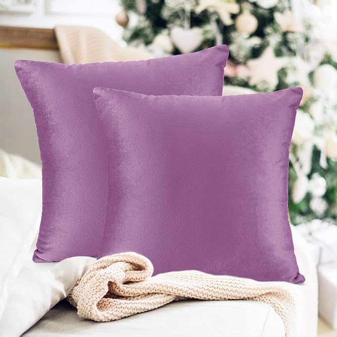 Throw Pillow Inserts Pack of 2 with Velvet Soft Solid Decorative Square Throw Pillow Covers Set for Sofa Couch Car Bedroom, 18X18 Throw Pillows Inserts with 16x16 Washable Cushion Covers, Lavender