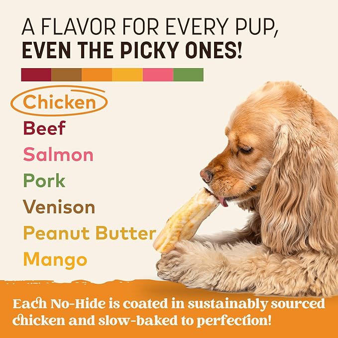 Earth Animal No Hide Dog Chews - Rawhide Free Small Rolls 6 Count Chicken | Small Rolls Chicken Flavored Natural Rawhide Free Long Lasting Dog Chews - Pet Treats for Small Dogs